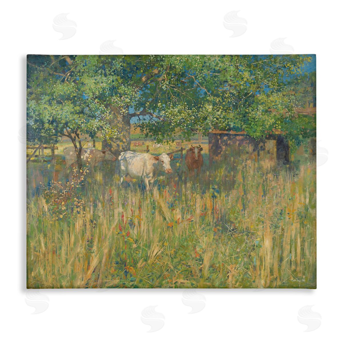 Stellar Design Studio Cattle Grazing Grassland Pasture