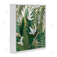 Nan | Tropical Birds Of Paradise Plant