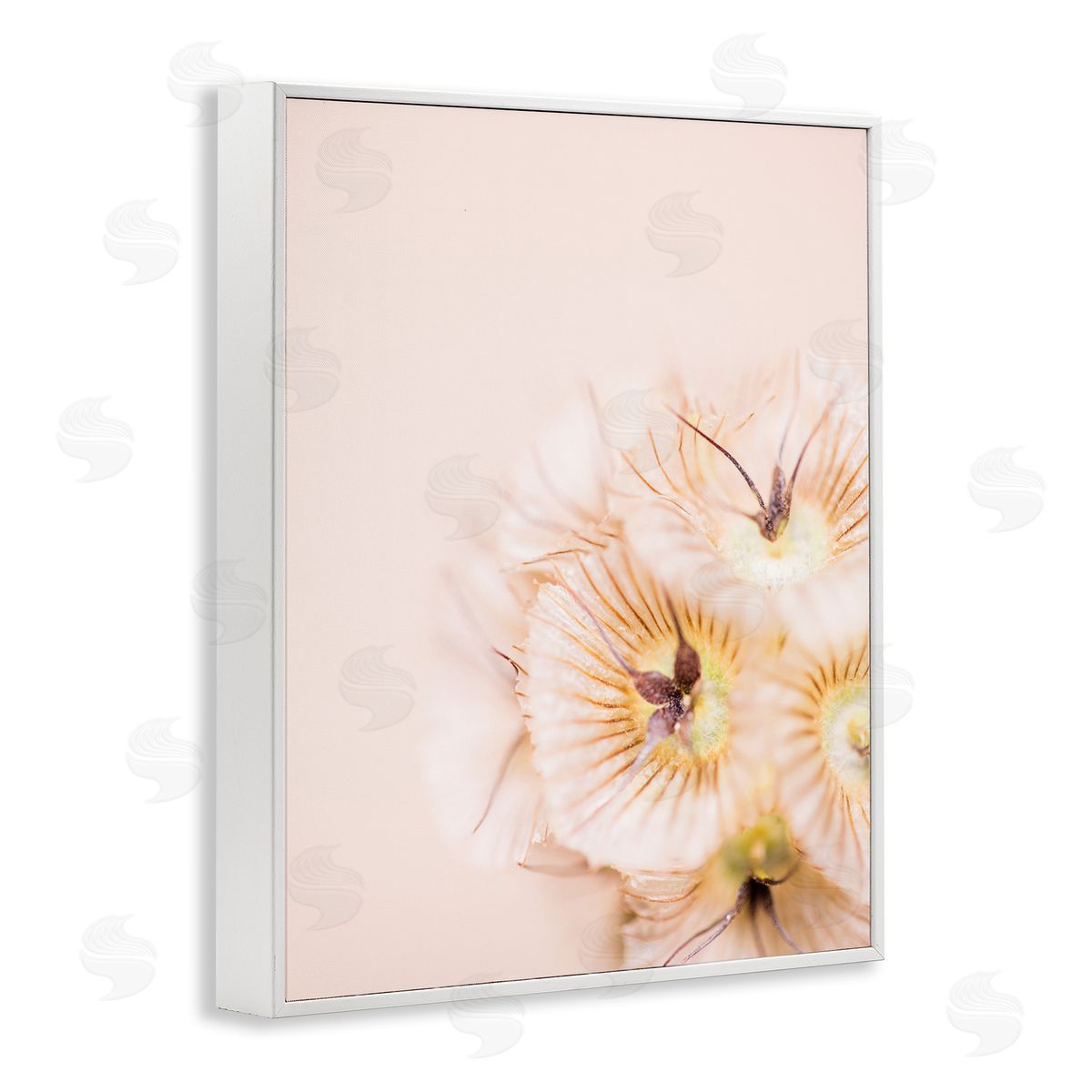 Renee W. Stramel Close Up Pink Flower Anther 