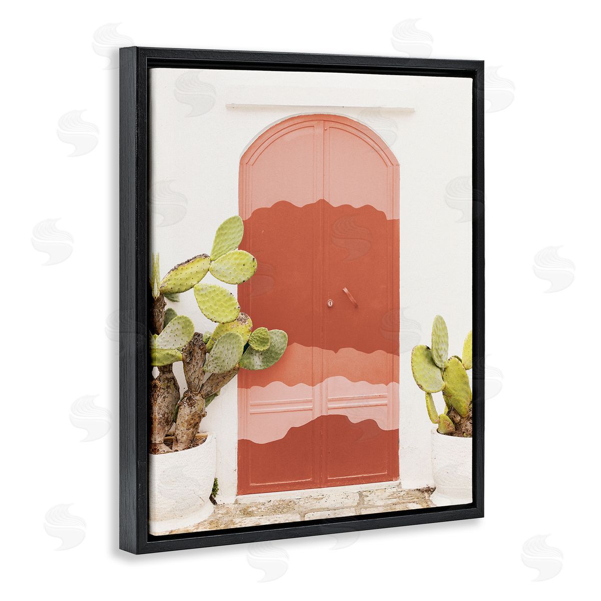 Leah Straatsma Contemporary Desert Doorway Cactus