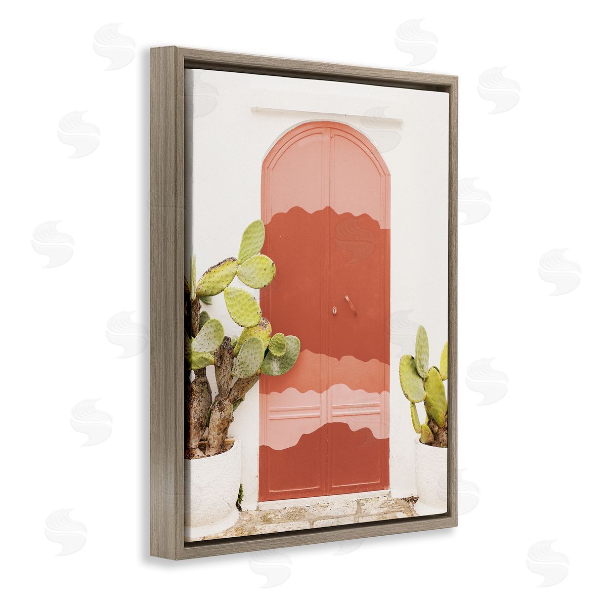 Leah Straatsma Contemporary Desert Doorway Cactus