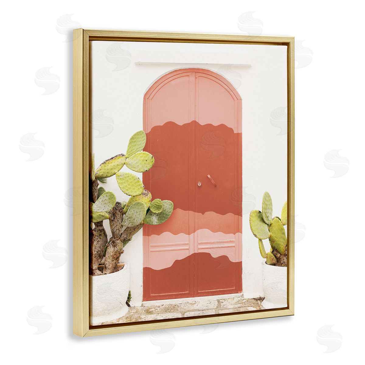 Leah Straatsma Contemporary Desert Doorway Cactus