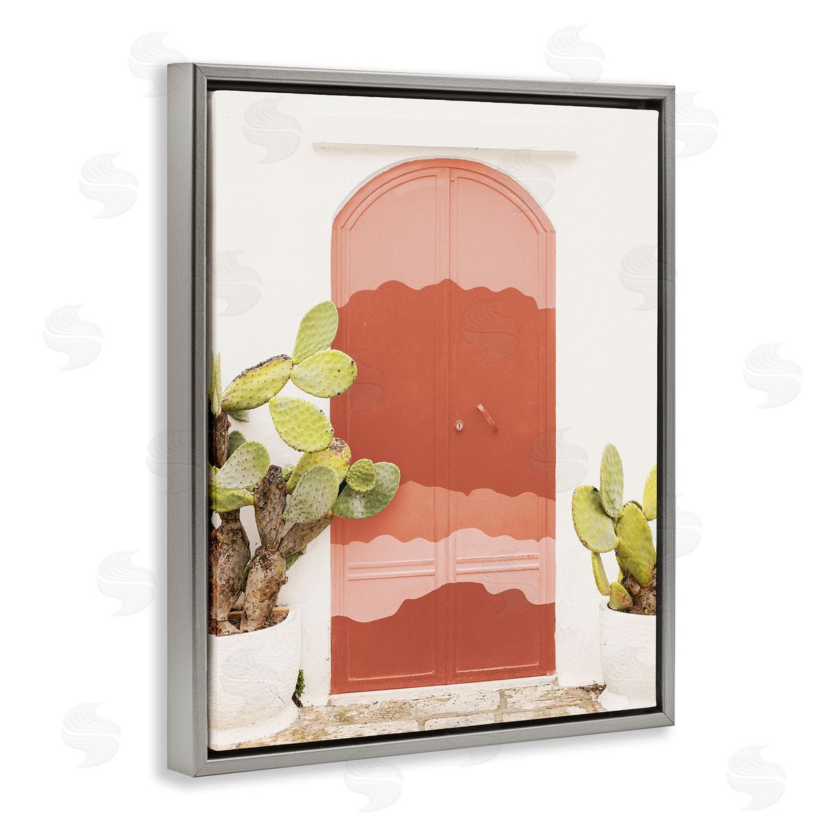 Leah Straatsma Contemporary Desert Doorway Cactus