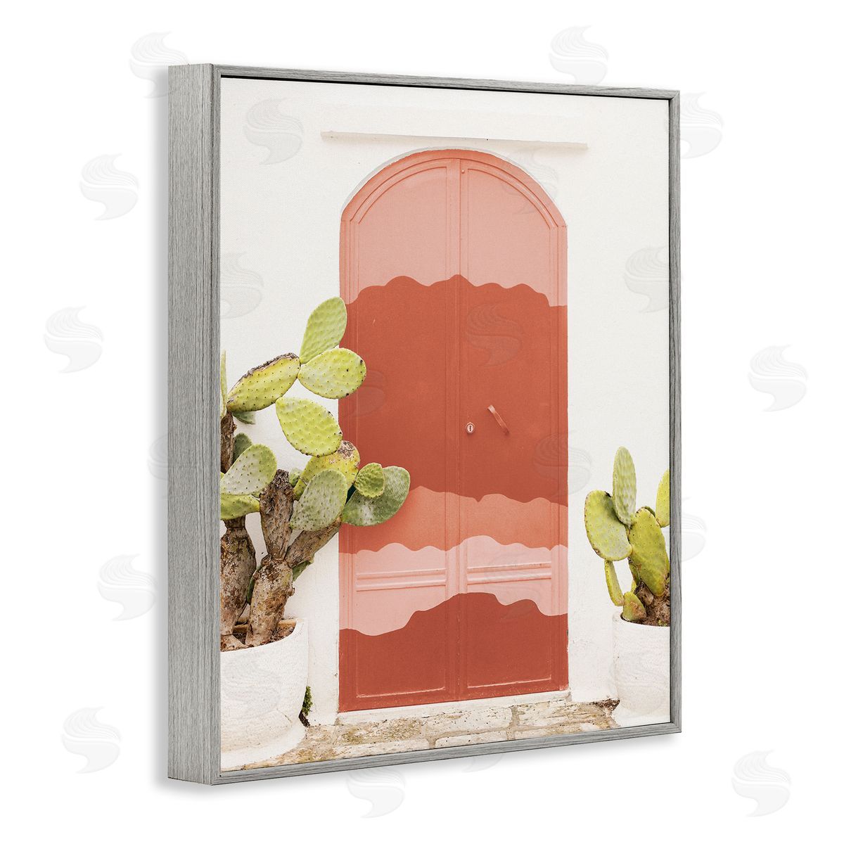 Leah Straatsma Contemporary Desert Doorway Cactus