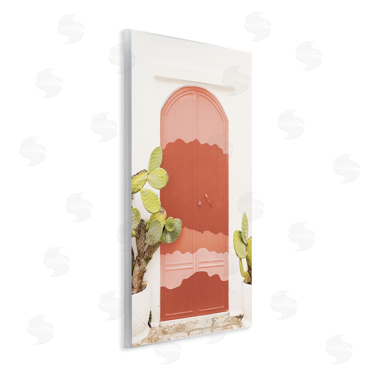 Leah Straatsma Contemporary Desert Doorway Cactus