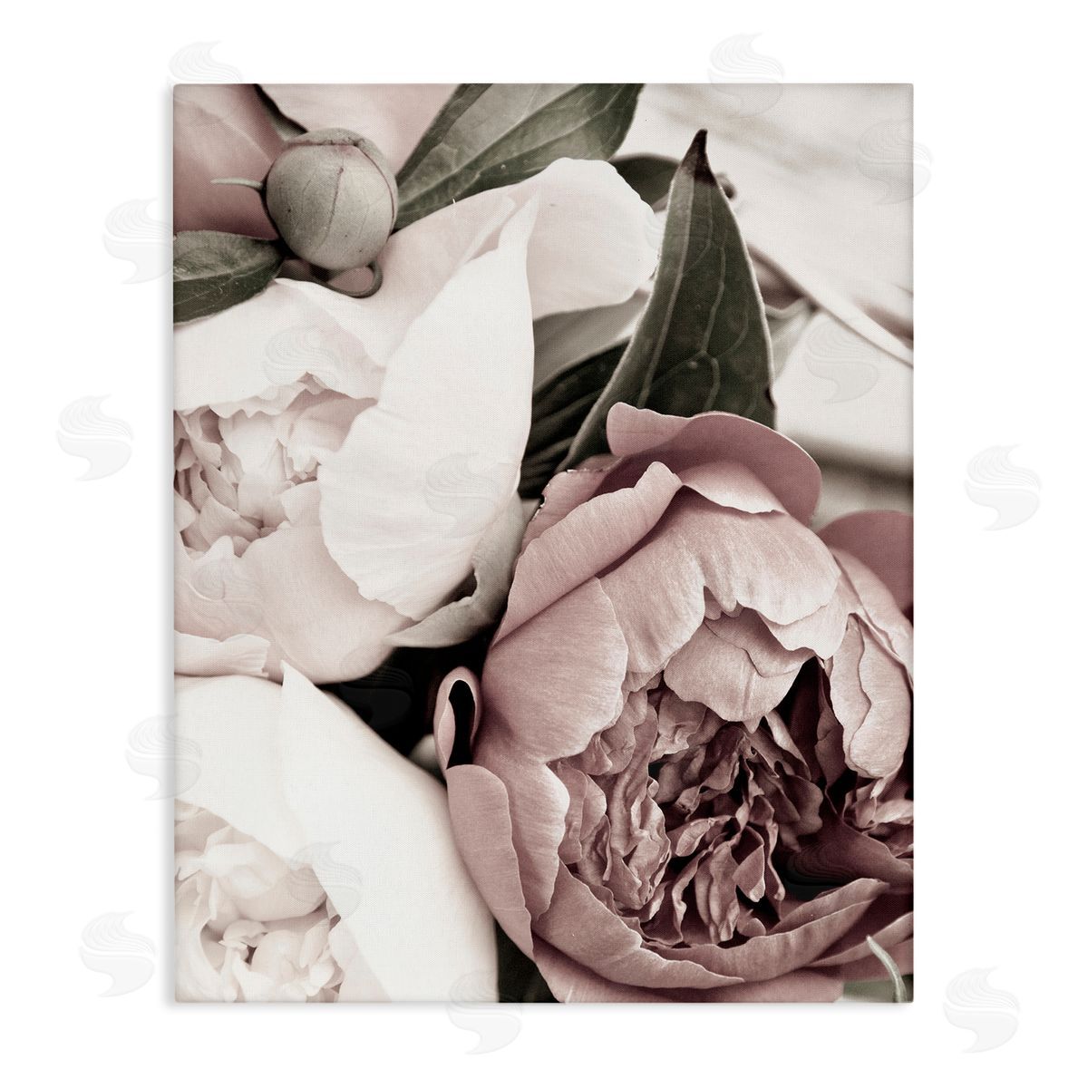 Malerifabrikken Budding Peony Petals Close Up