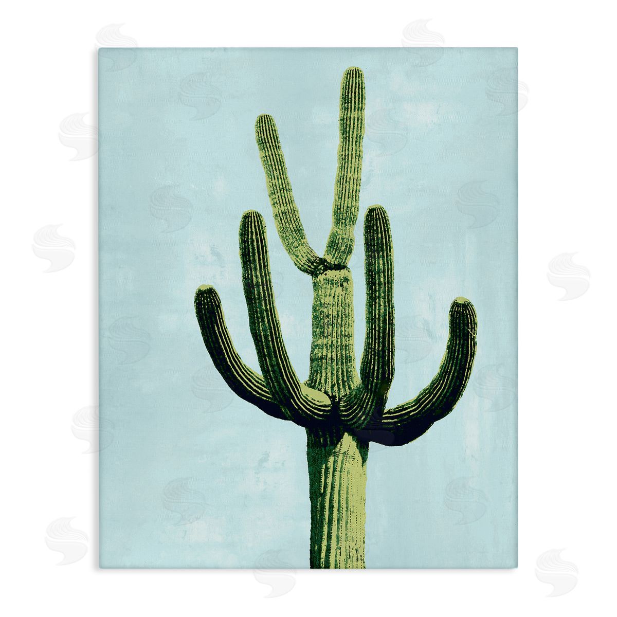 Mia Jensen Cactus Plant Arid Vegetation