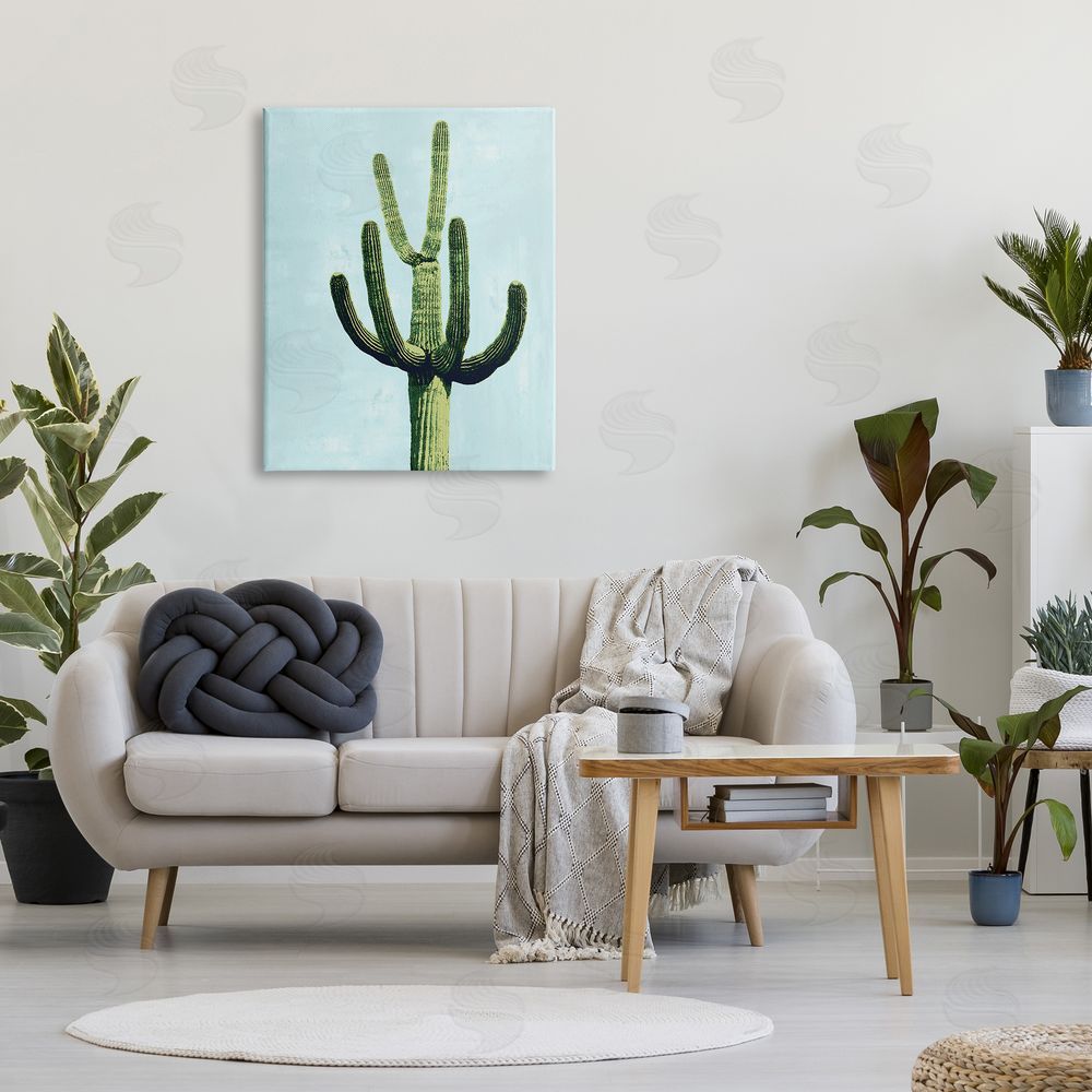 Mia Jensen Cactus Plant Arid Vegetation