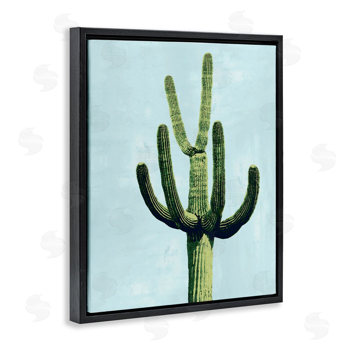 Mia Jensen Cactus Plant Arid Vegetation