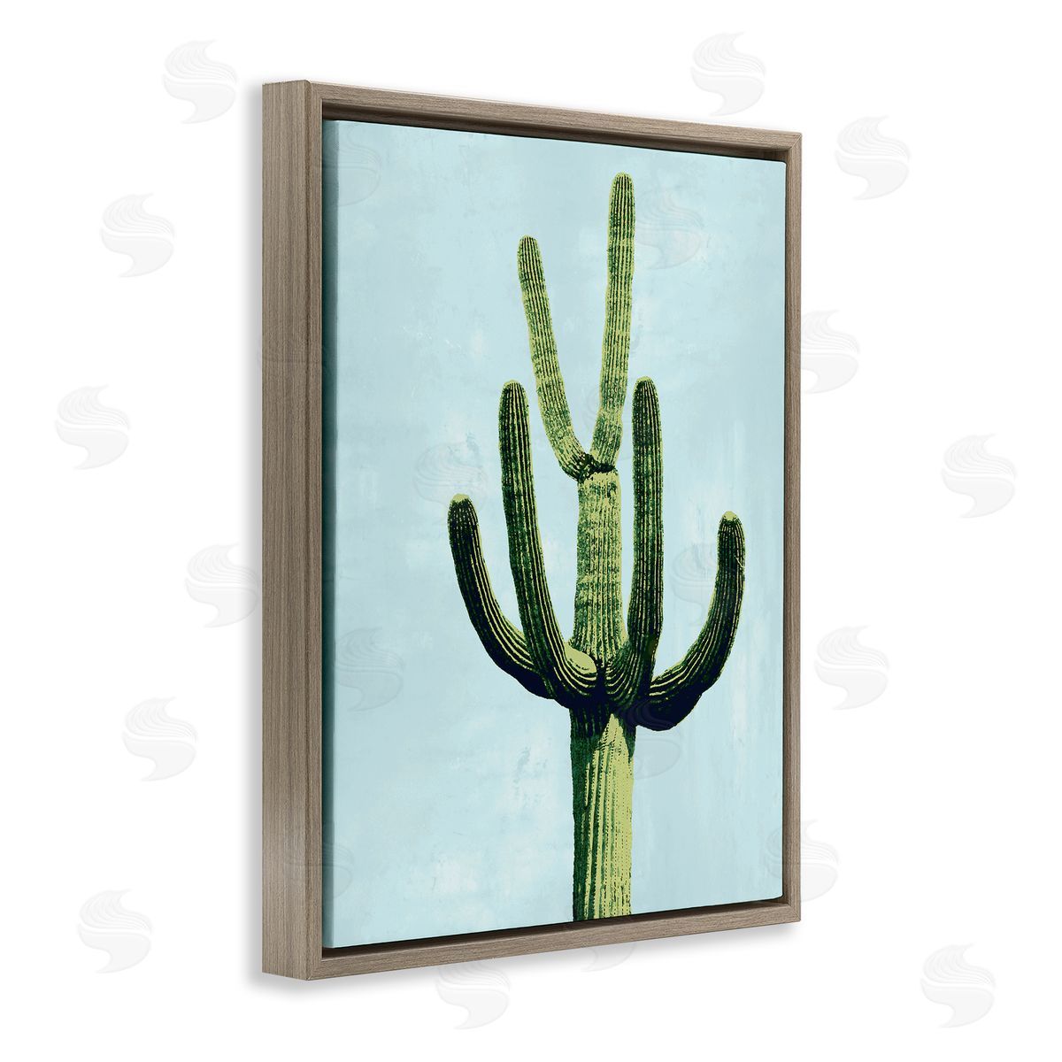 Mia Jensen Cactus Plant Arid Vegetation