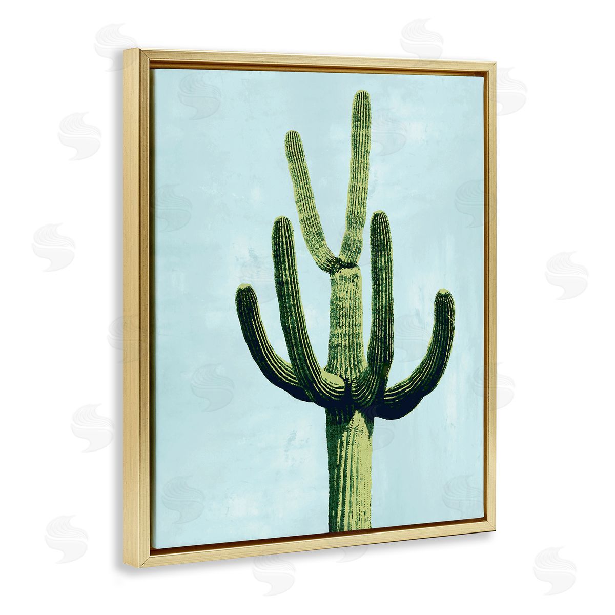 Mia Jensen Cactus Plant Arid Vegetation