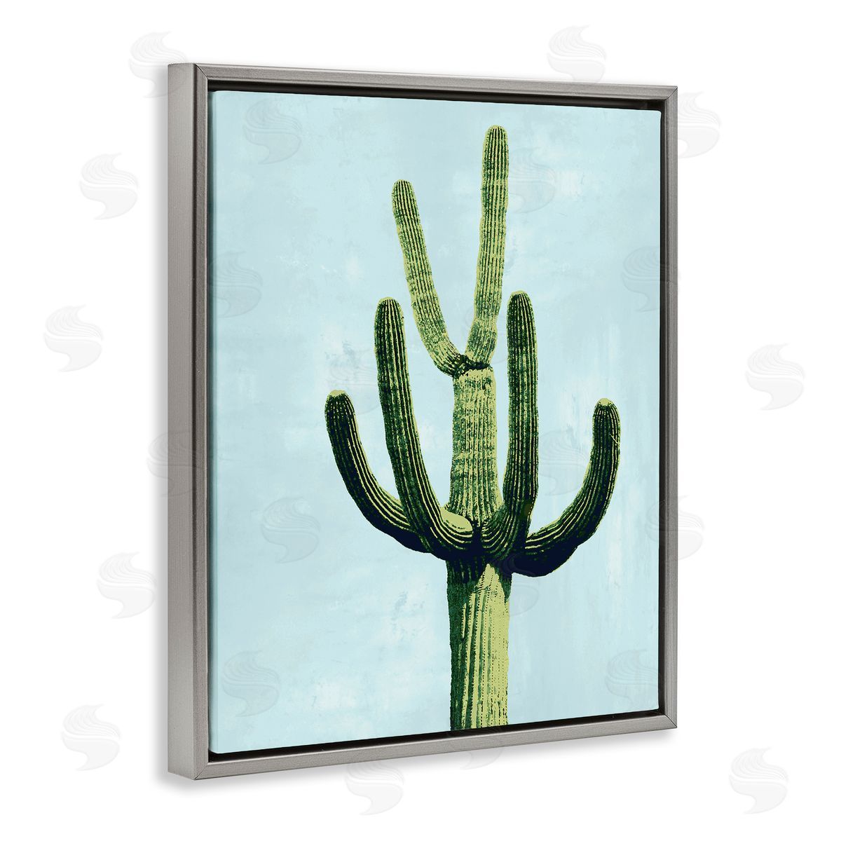 Mia Jensen Cactus Plant Arid Vegetation