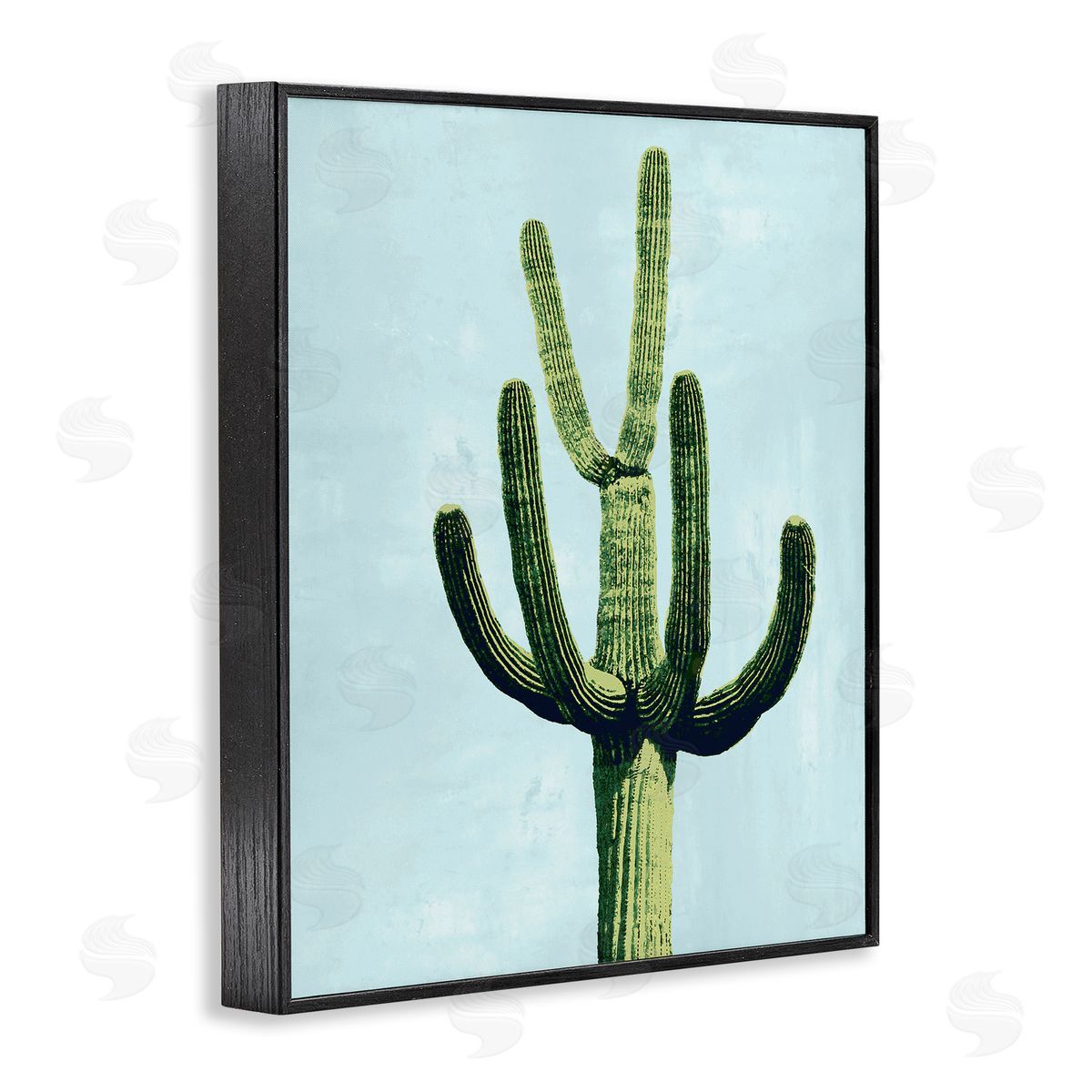 Mia Jensen Cactus Plant Arid Vegetation