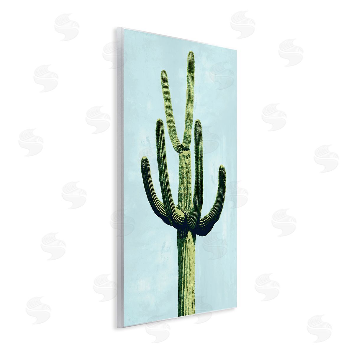 Mia Jensen Cactus Plant Arid Vegetation