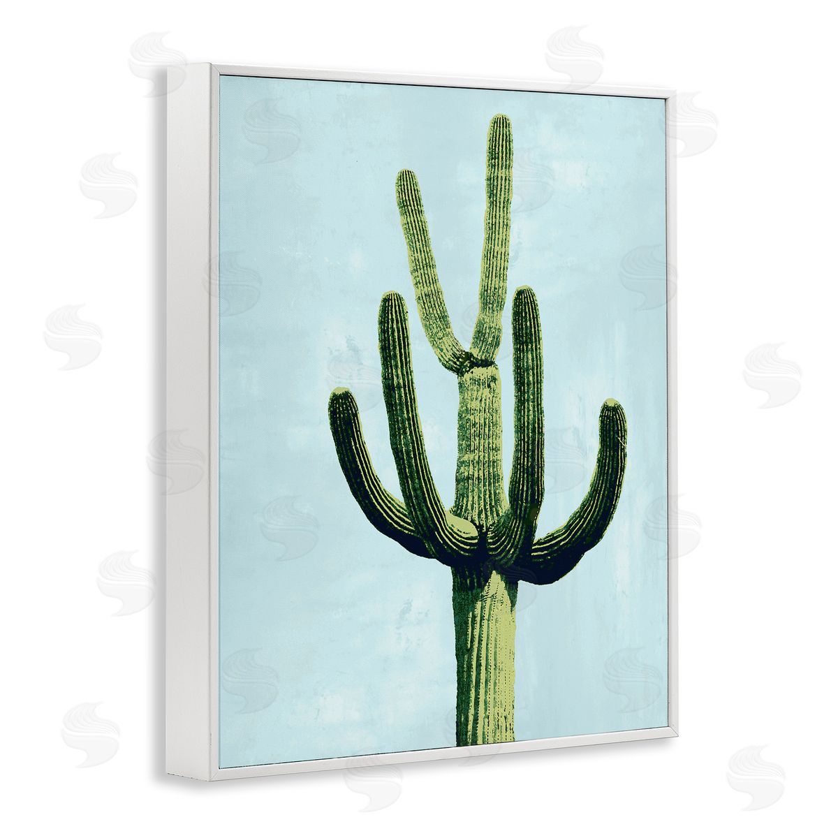 Mia Jensen Cactus Plant Arid Vegetation