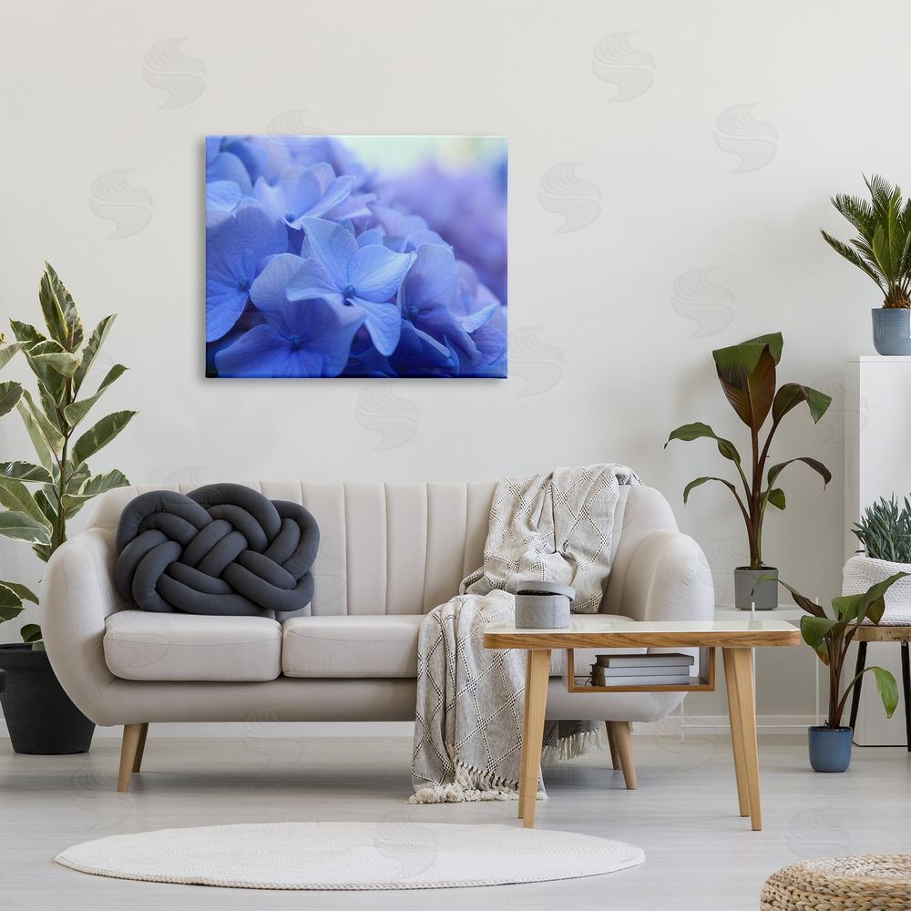 Stupell Studio Detailed Hydrangea Close Up Petals