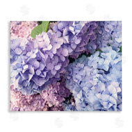 Stupell Studio | Pastel Hydrangea Flower Petals