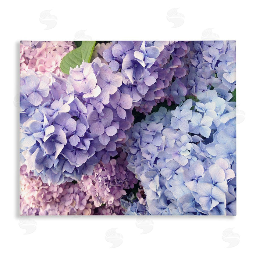 Stupell Studio | Pastel Hydrangea Flower Petals