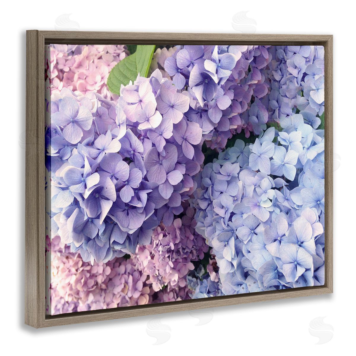 Pastel Hydrangea Flower Petals Brown Floating Frame Canvas Wall Art, Home Decor by Stupell Studio