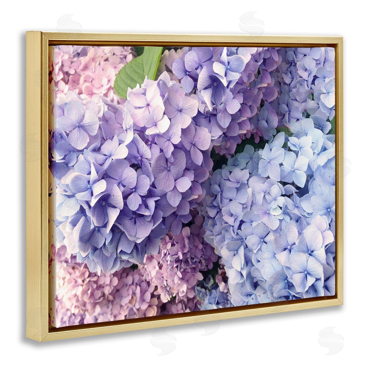 Pastel Hydrangea Flower Petals Gold Floating Frame Canvas Wall Art, Home Decor by Stupell Studio
