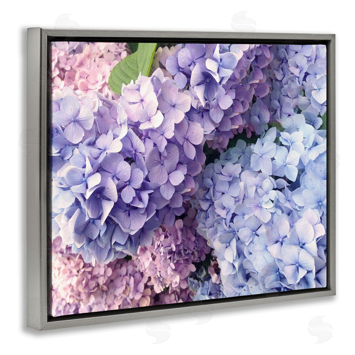 Pastel Hydrangea Flower Petals Grey Floating Frame Canvas Wall Art, Home Decor by Stupell Studio