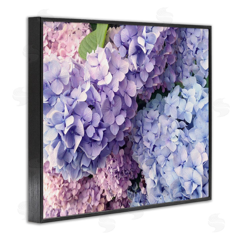 Stupell Studio | Pastel Hydrangea Flower Petals