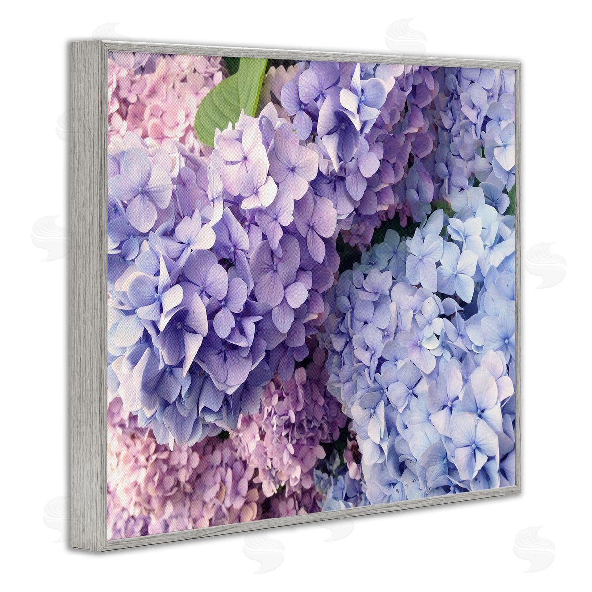 Pastel Hydrangea Flower Petals Grey Frame Print Wall Art, Home Decor by Stupell Studio