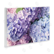 Stupell Studio | Pastel Hydrangea Flower Petals