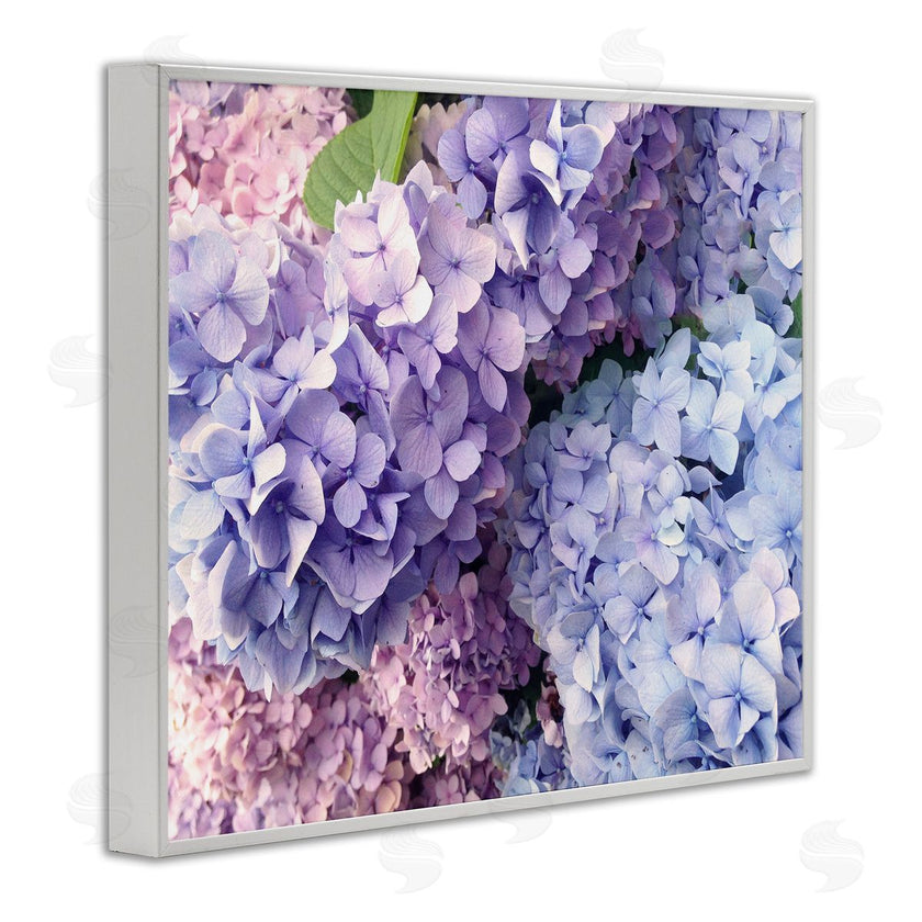 Stupell Studio | Pastel Hydrangea Flower Petals
