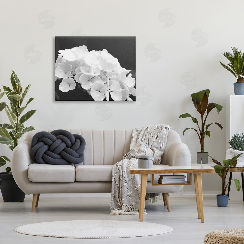 Stupell Studio Delicate White Hydrangea Petals