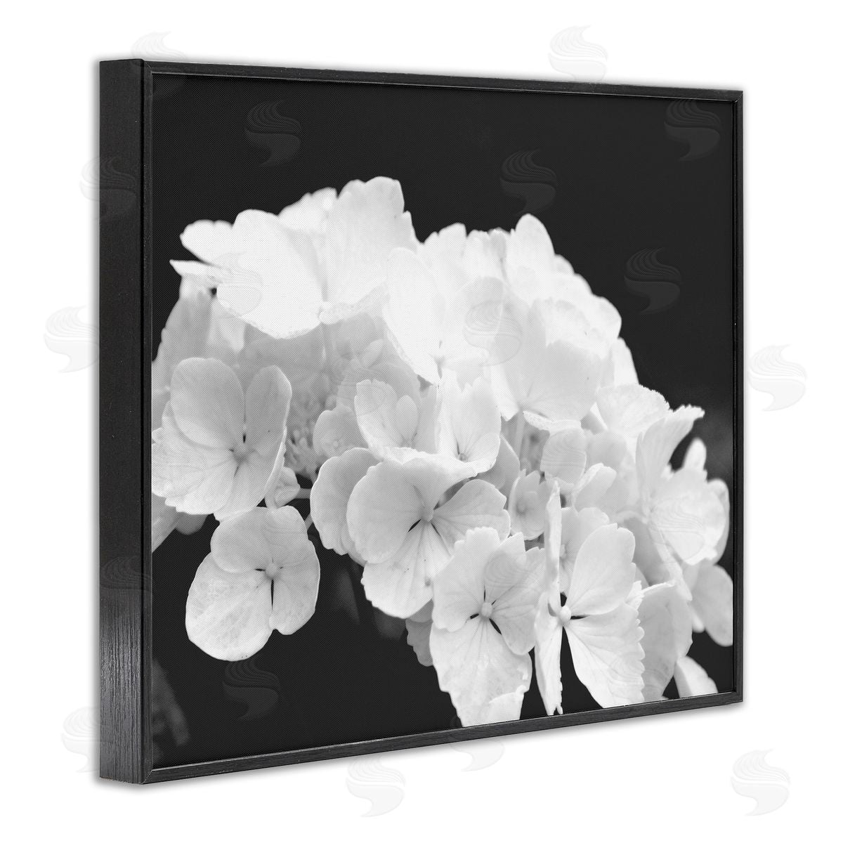 Stupell Studio Delicate White Hydrangea Petals