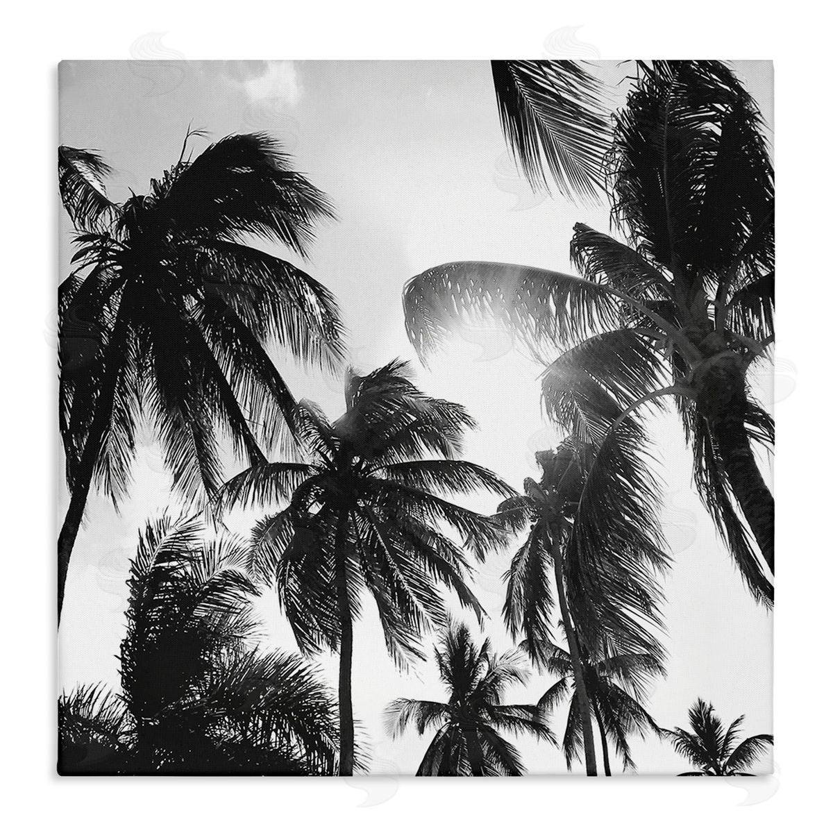 Natalie Carpentieri Sunlit Palm Tree Photography Stretched Canvas Wall Art Print