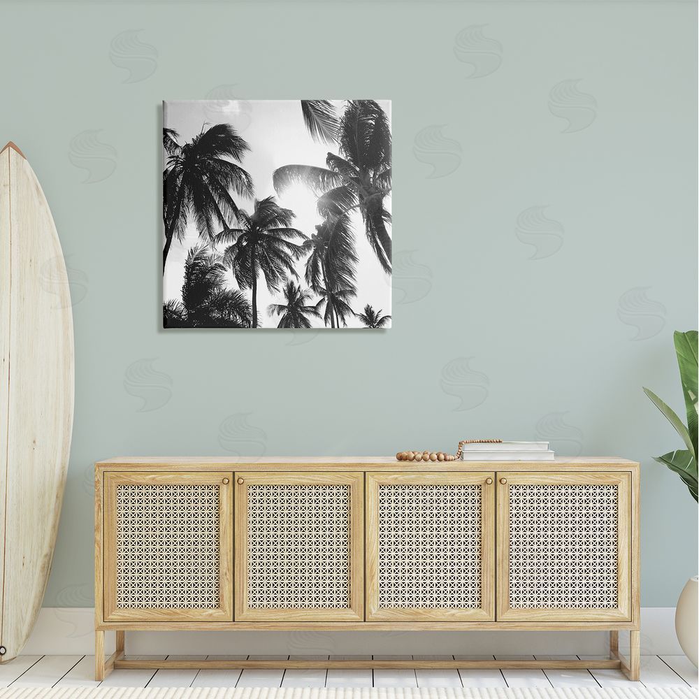 Natalie Carpentieri Sunlit Palm Tree Photography Canvas Wall Art in Room