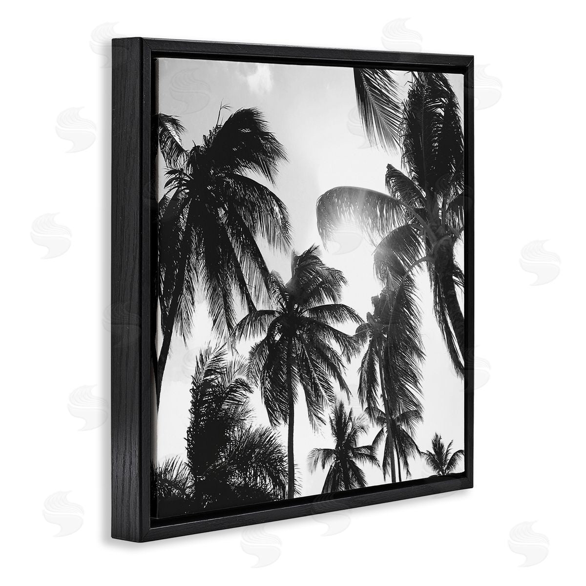 Natalie Carpentieri Sunlit Palm Tree Photography Black Floating Frame Canvas Wall Art Print