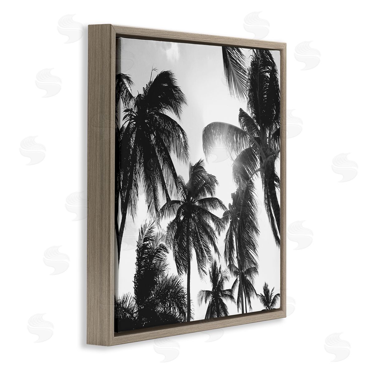 Natalie Carpentieri Sunlit Palm Tree Photography Brown Floating Frame Canvas Wall Art Print