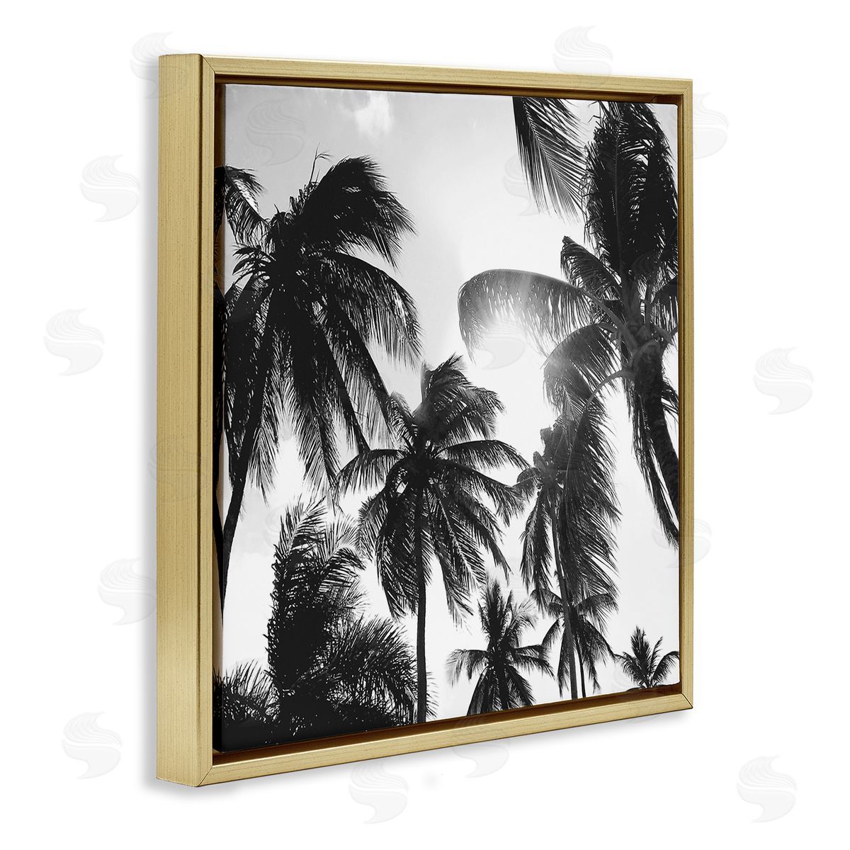 Natalie Carpentieri Sunlit Palm Tree Photography Gold Floating Frame Canvas Wall Art Print
