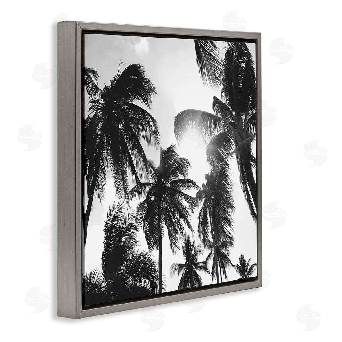 Natalie Carpentieri Sunlit Palm Tree Photography Gray Floating Frame Canvas Wall Art Print