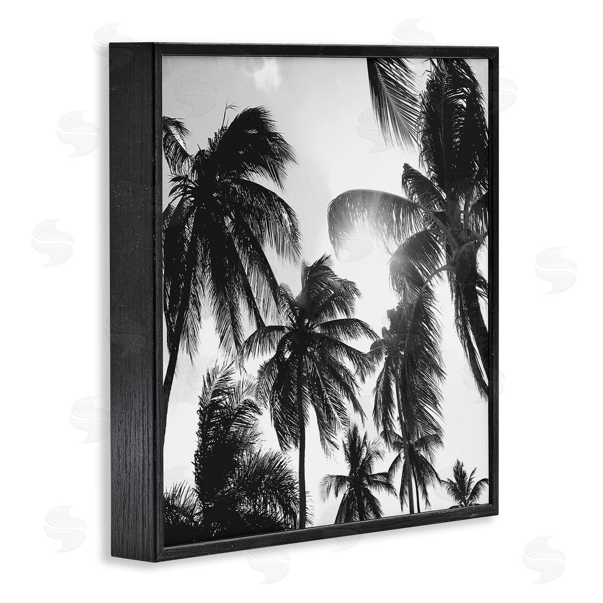 Natalie Carpentieri Sunlit Palm Tree Photography Black Framed Glicee Wall Art Print