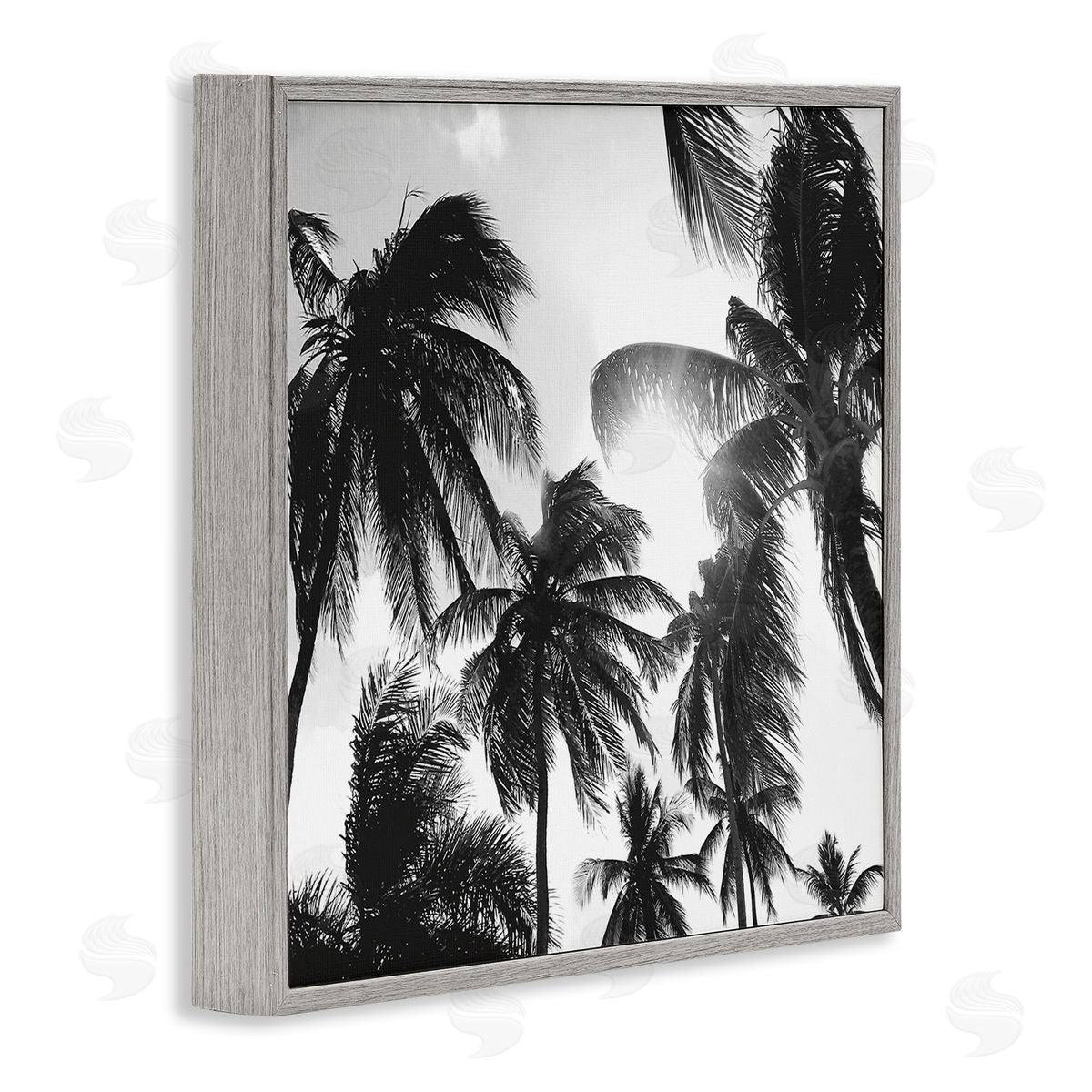 Natalie Carpentieri Sunlit Palm Tree Photography Gray Framed Glicee Wall Art Print