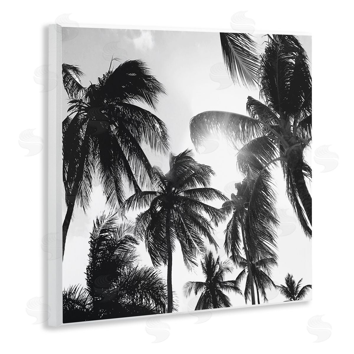 Natalie Carpentieri Sunlit Palm Tree Photography Wooden Wall Plaque Art Print