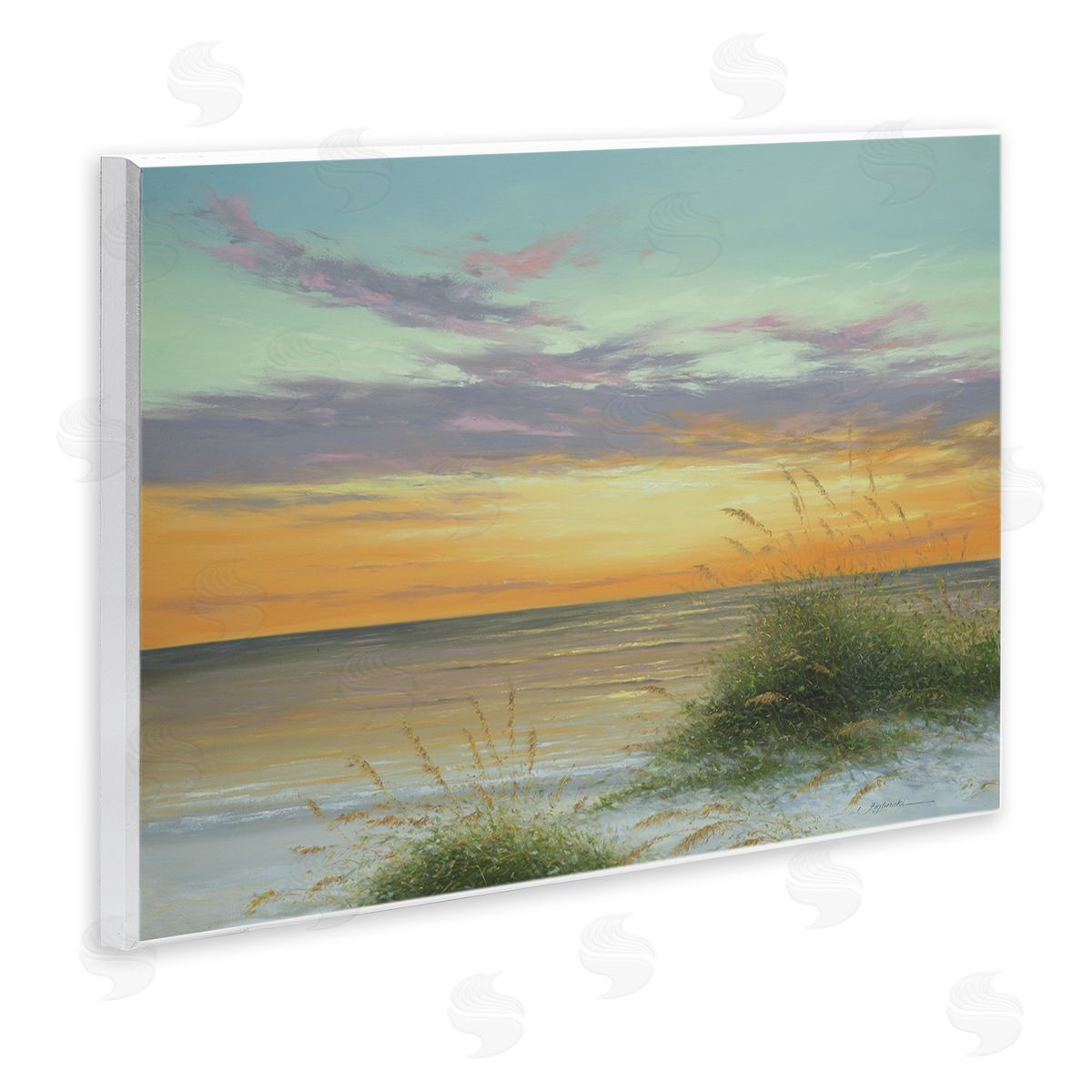 Martin Figlinski Coastal Reeds Sunset Beach Shore