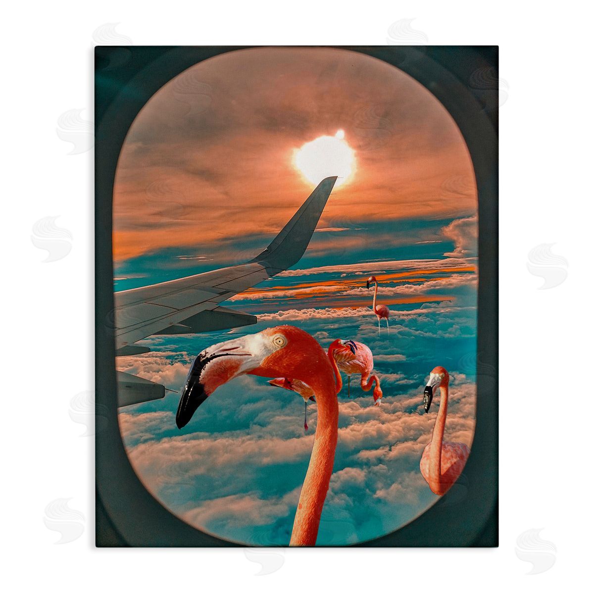 Ziwei Li Flamingoes Airplane Window Clouds
