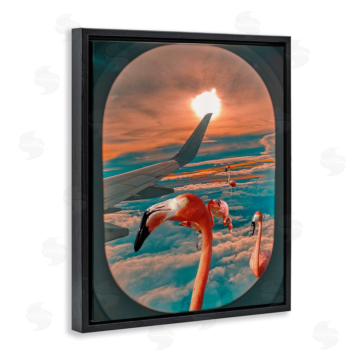Ziwei Li Flamingoes Airplane Window Clouds