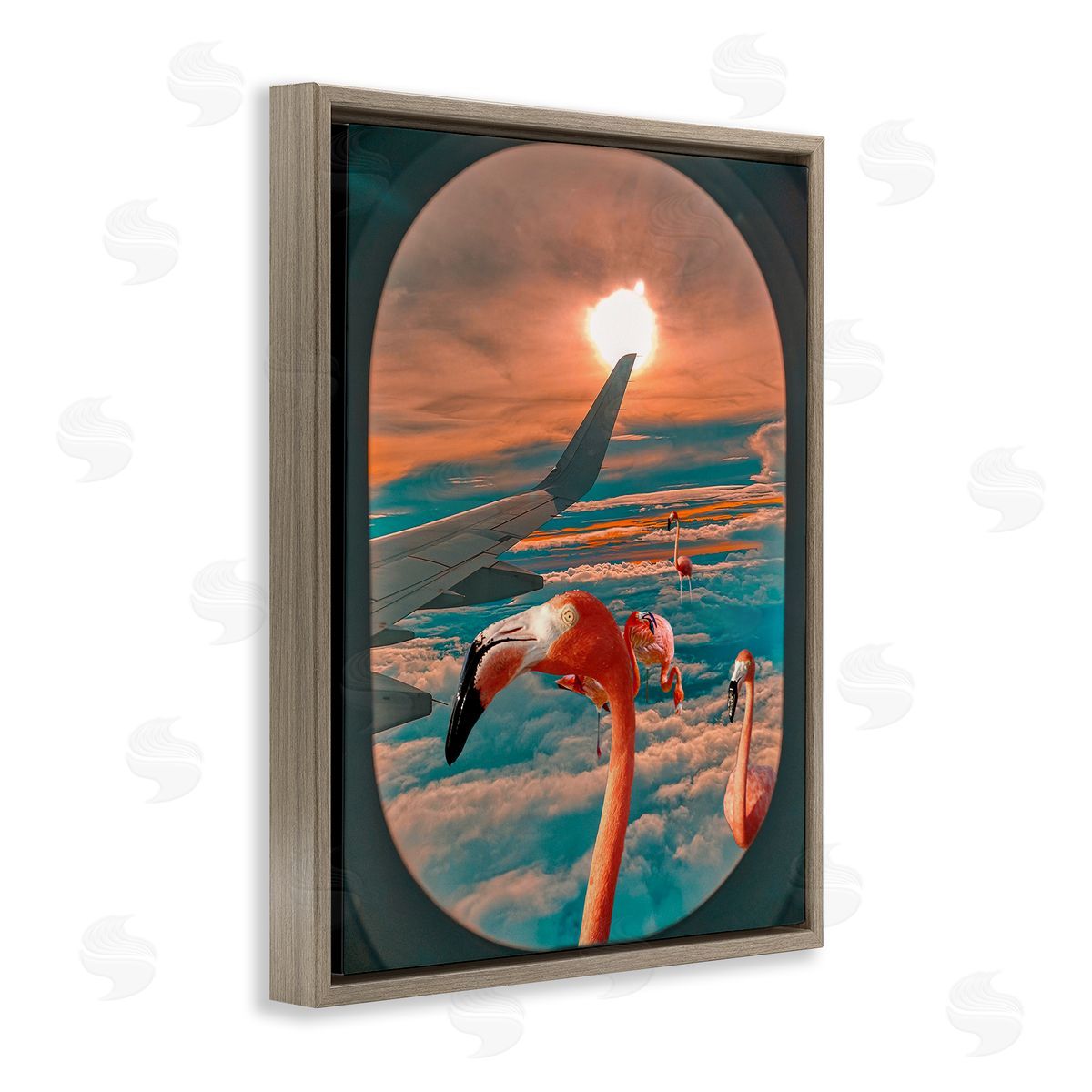 Ziwei Li Flamingoes Airplane Window Clouds