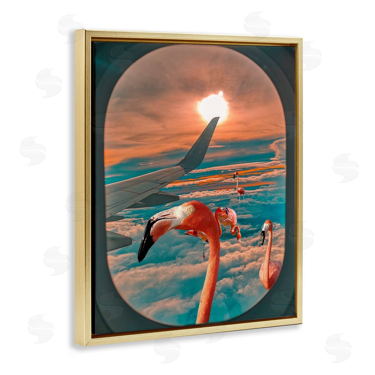 Ziwei Li Flamingoes Airplane Window Clouds