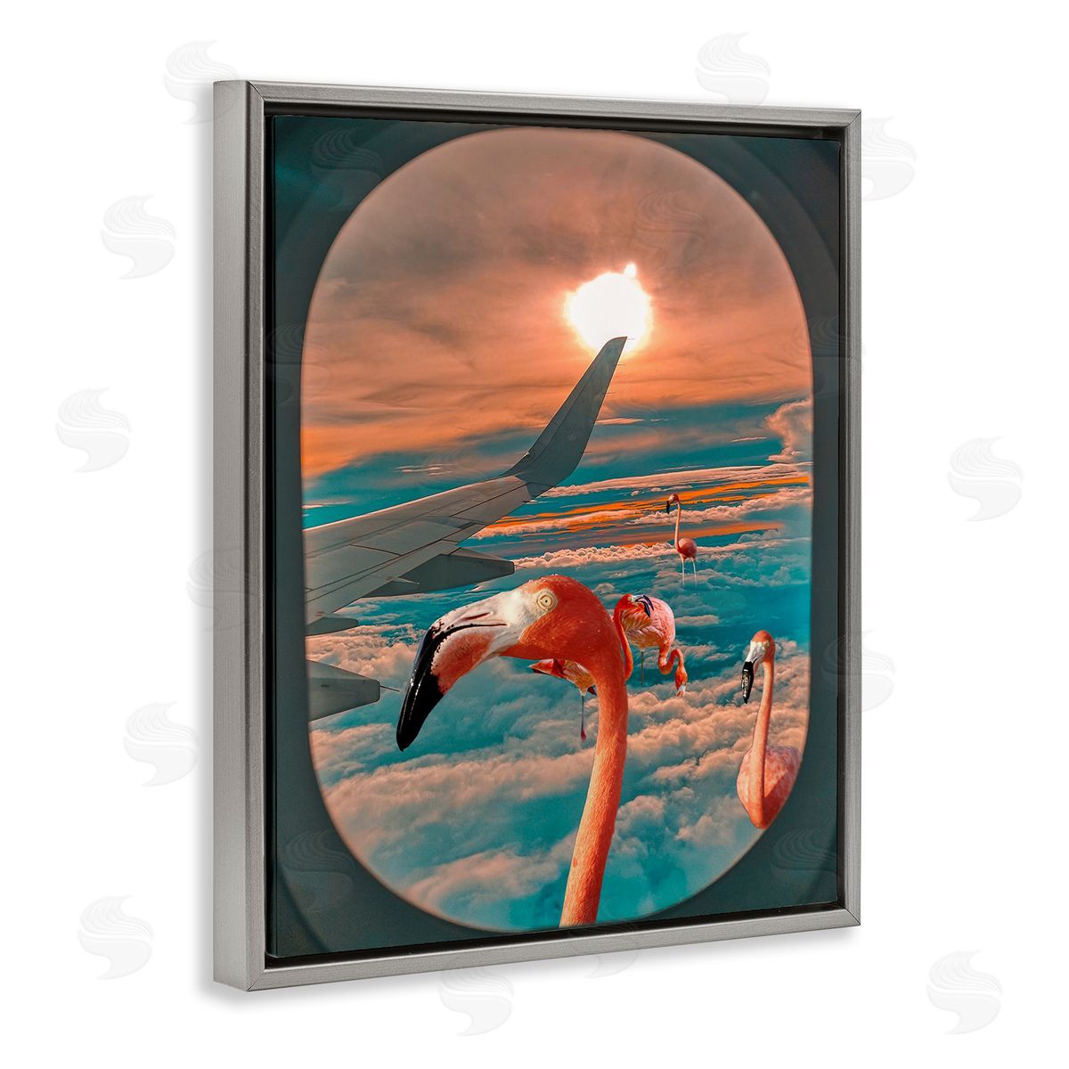 Ziwei Li Flamingoes Airplane Window Clouds