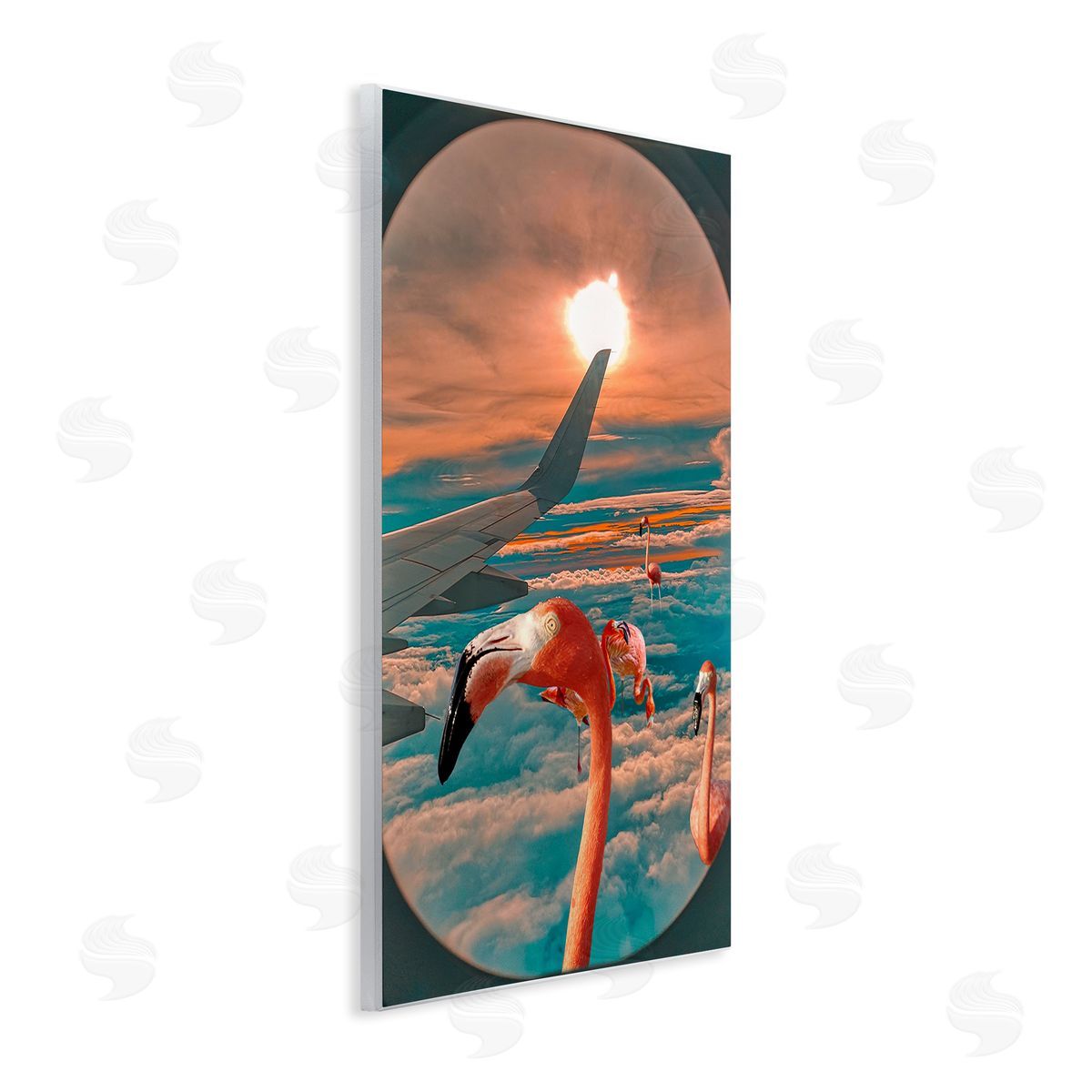 Ziwei Li Flamingoes Airplane Window Clouds
