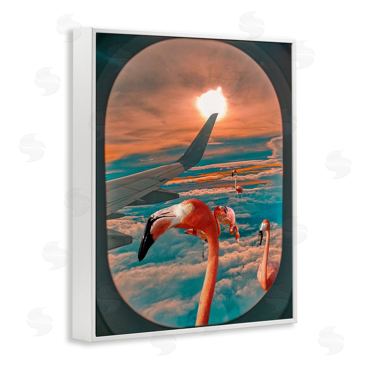 Ziwei Li Flamingoes Airplane Window Clouds