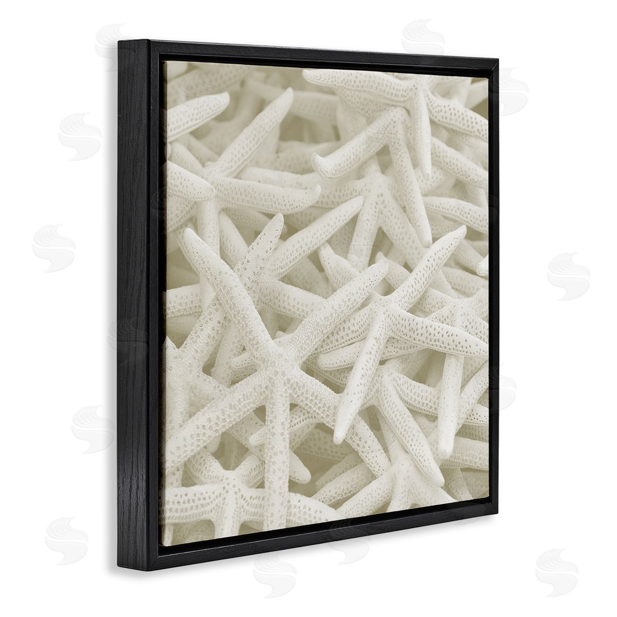Nautical White Starfish Photography Black Floating Frame Canvas Wall Art, Home Decor by Stupell Studio