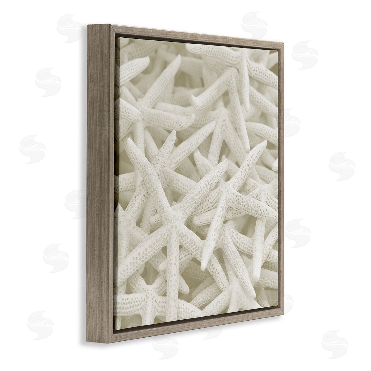 Nautical White Starfish Photography Brown Floating Frame Canvas Wall Art, Home Decor by Stupell Studio